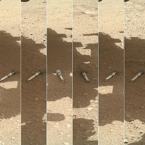 Robotic Sample Retriever for Mars